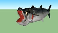 Spanish Mackerel