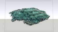 Blue Rug Juniper