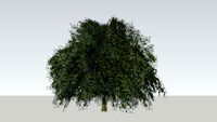 Tree version 3