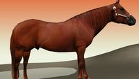 ~~ 3D Horse~~ see description
