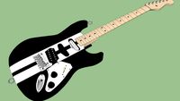 Custom Fender Stratocaster