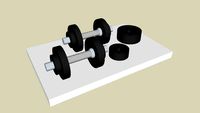 Barbell 22Lbs chrome