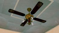 FAN and ceiling