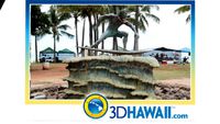 Waikiki Beach