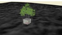 design it: shelter competition - concret square in the forest