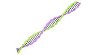 DeoxyRibonucleic acid (DNA)