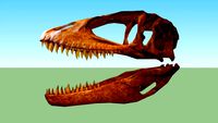 Cranio Carcharadontossauro