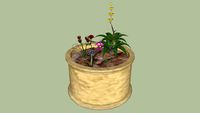 assorted flowerpot
