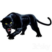 Panther