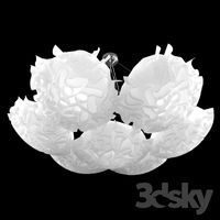 SLAMP / Veli 7