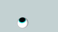 Auge
