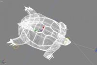 turtle3d model