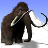 Cartoon Mammoth Rigged3d model