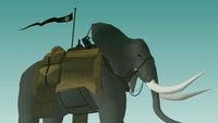 Elephant Rider