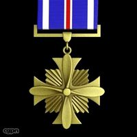 USAF Distinguished Flying Cross3d model