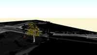 Vegetacion parque