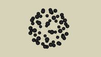 BuckyBall