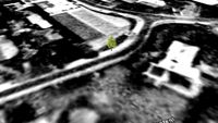 Baum