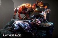 Panthers pack