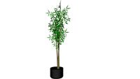 Planta_1