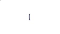 Piston Seals