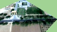 GURU KANSHI UNIVERSITY
