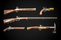 Flintlock Guns Collection