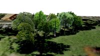Weimar Ilm Park 1.10