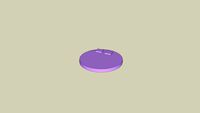 Purple Circle Moon Bed With Pillows