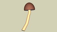 Pilz