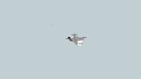 Random aircraft being shot down bye AIM-9 Missile