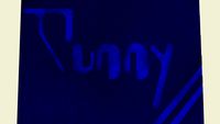 gunny logo 3