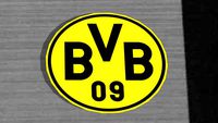 BVB 09