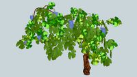 3D vigne vierge avec raisin fruitier fruit jardin tree arbre arbuste