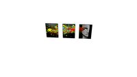 Tableaux triptyque art contemporain