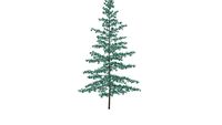3D Landscape Tree - Blue Atlas Cedar- Cedrus atlantica 'Glauca'