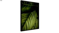 Quadro Folhas Cruzadas - Ammo Quadros
