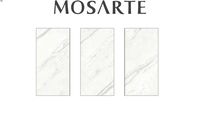 Mosarte Statuario Platina Polido 120x240 (472660)