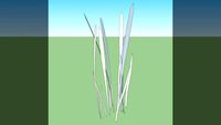 Grama/Grass