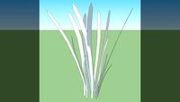 Grama/Grass