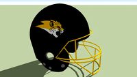 Hertfordshire Cheetahs football helmet