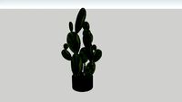 Prickly Pearl Bunny Ears Cactus + VRAY