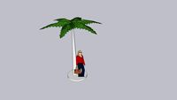 coconut tree