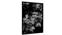 Quadro As flores do parque (PB) - Galeria9, por Martiniano Ferraz