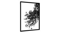 Quadro Floração (LM) - Galeria9, por Martiniano Ferraz