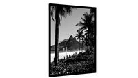 Quadro Entre coqueiros - Galeria9, por Cocobamboo Artwork