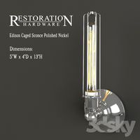 Polished Nickel Edison Caged