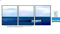 Quadro Múltiplo O Mar