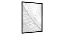 Quadro Albino leaf - Galeria9, por Larissa Grace