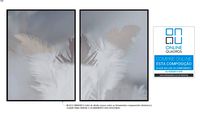 Conjunto de 2 quadros Soft colored feathers